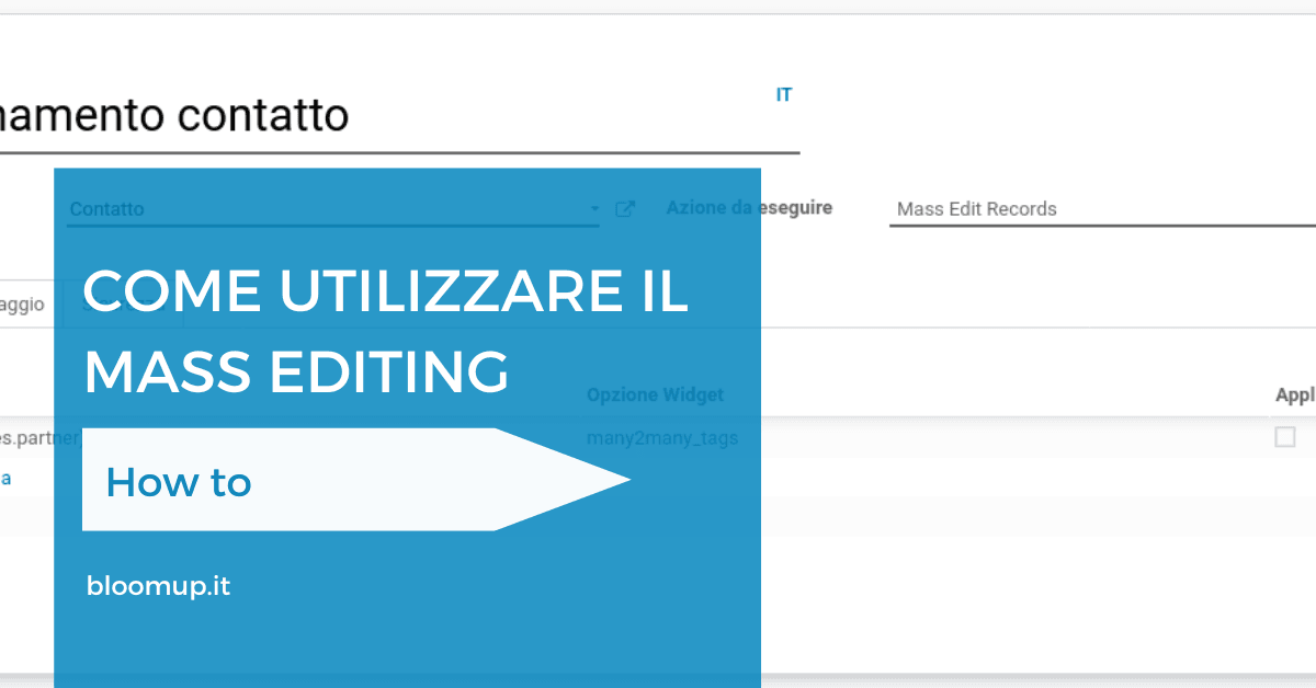 Come utilizzare il Mass Editing in Odoo